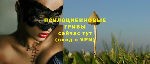 MDMA Premium VHQ Новозыбков