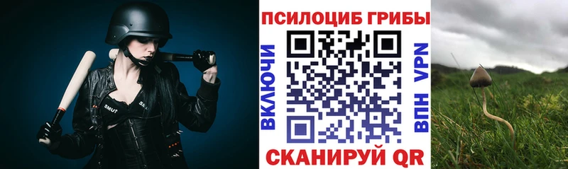 Галлюциногенные грибы прущие грибы  наркотики  Берёзовка 